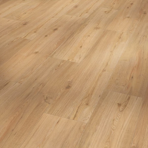 SPC vinyl - Basic 5.3 - Oak natural